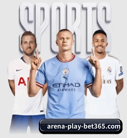 五大服务分区,信息按项目分类 - 多运动项目内容板块 | bet365