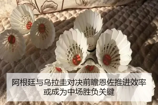 阿根廷与乌拉圭对决前瞻恩佐推进效率或成为中场胜负关键 | bet365 app