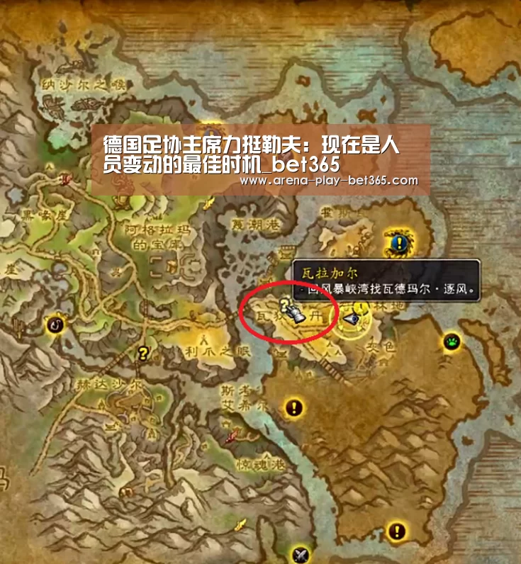 德国足协主席力挺勒夫：现在是人员变动的最佳时机_bet365(图3)